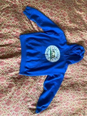 Y2K California Republic Bear Graphic Hoodie - Blue size Childs XL